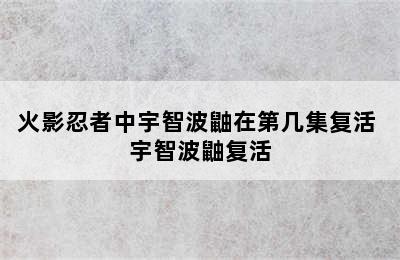 火影忍者中宇智波鼬在第几集复活 宇智波鼬复活